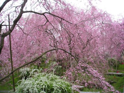 2005-04-12a.jpg