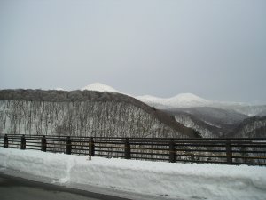 2006-02-16b.jpg