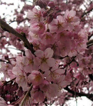 2006-03-28d.jpg