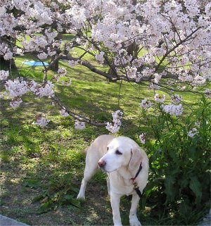 2006-04-06b.jpg