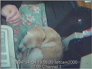 live.jpg