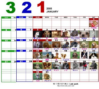 r2.jpg