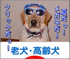 にほんブログ村 犬ブログ 老犬・高齢犬へ