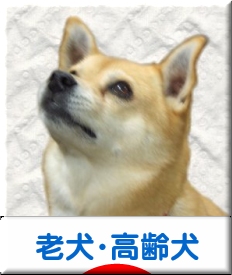 にほんブログ村 犬ブログ