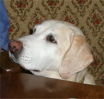 2006-08-26.jpg