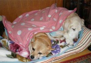 2006-11-18b.jpg