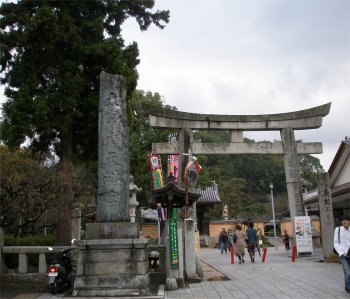 2006-11-20a.jpg