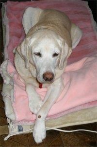 2006-12-23.jpg