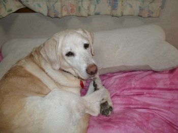 2006-12-27.jpg
