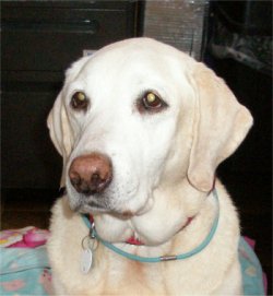 2007-12-13.jpg