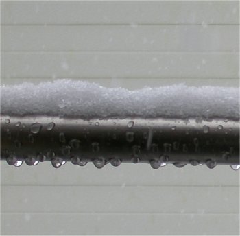 2008-02-09b.jpg