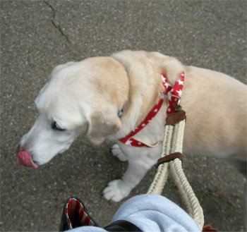 2008-04-01b.jpg