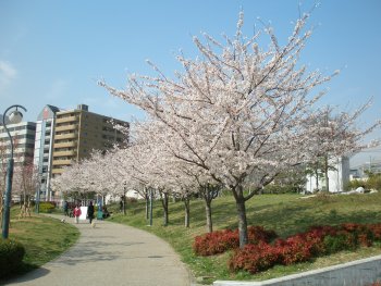 2008-04-04b.jpg